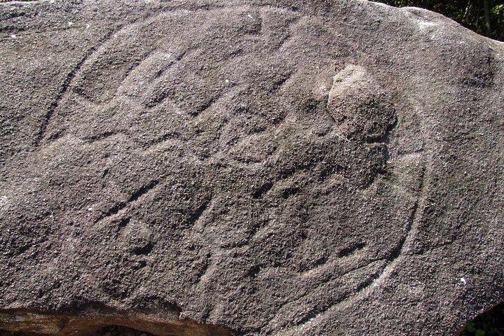 Palma Sola Secrets Petroglyphs Culture & Market Flavors withLunch