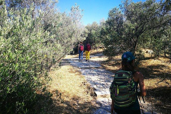 Hills Of Athens Walking Tour