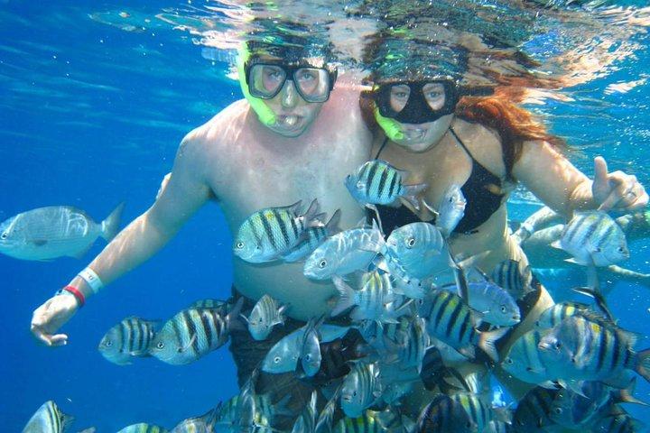 Cozumel Coral Reef Snorkeling by Glass Bottom Boat with Guide