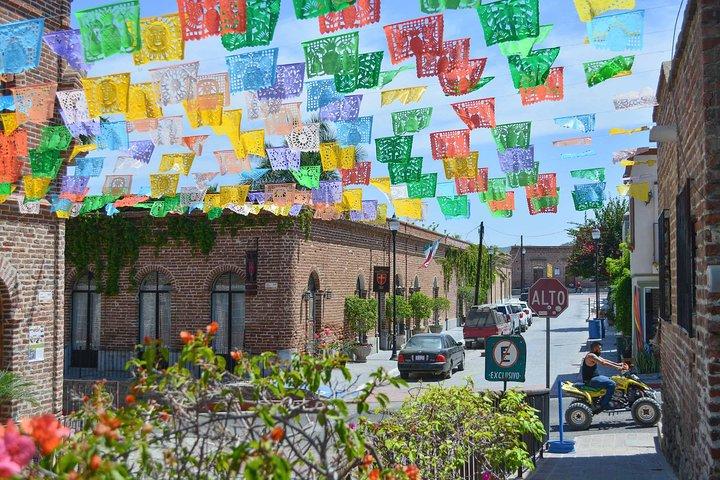 Private Todos Santos Jeep Tour