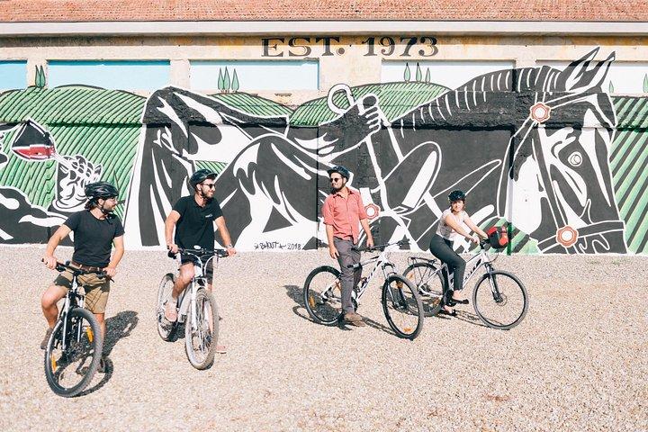 Private Ebike Tour in Chianti