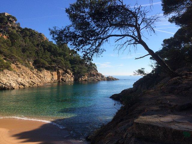 Costa Brava Hike & Tossa de Mar: Small Group Tour from Barcelona
