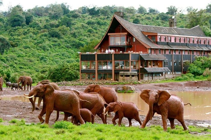 Overnight Safari To Aberdare National Park From Nairobi