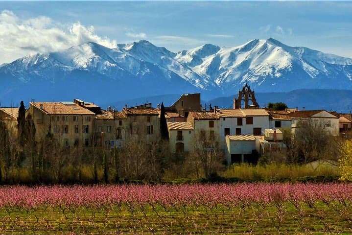 Pyrenees Private Tour from Barcelona with Easy Hike & Cogwheel Train