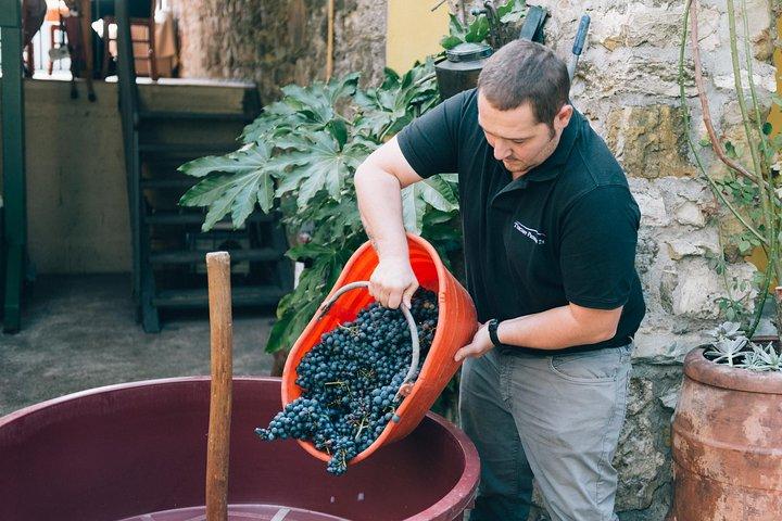 Private Grape stomping at Chianti Farmhouse