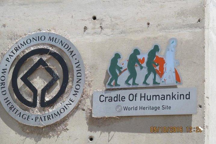 Full-Day Cradle of Human Kind and caves private