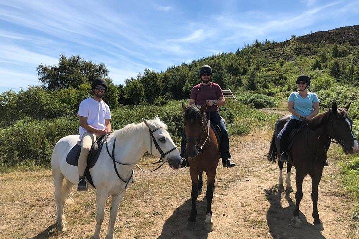 Dublin to Wicklow, Glendalough Small Group Tour with Horse Riding