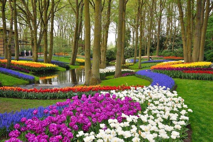 Delft and Keukenhof Gardens Tour from Brussels