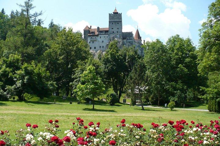 Bran Castle and more options private tour from Brasov