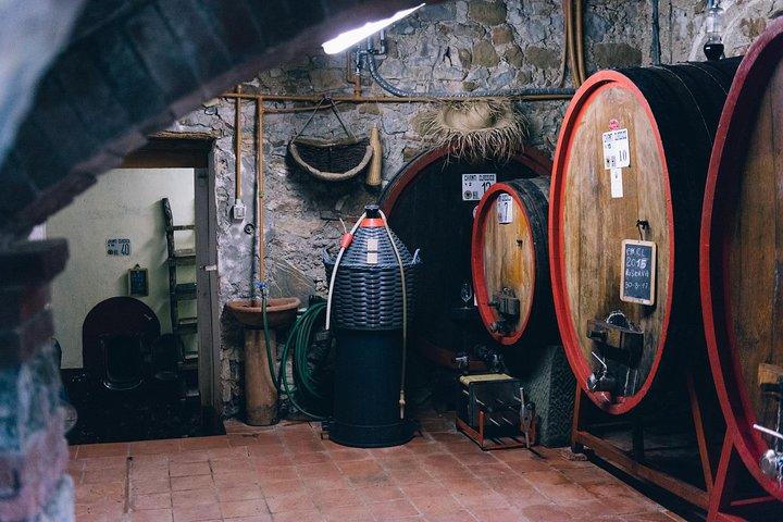 Private Off Road Wine Tour in Chianti from Siena