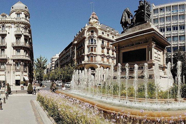 Private 4 hour walking tour of Granada (tickets to Cathedral and Royal Chapel)