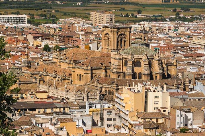 Private 4 hour walking tour of Granada (tickets to Cathedral and Royal Chapel)