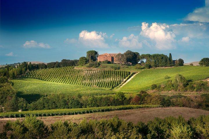 Historic Castle & Brunello Wine Experience in Montalcino