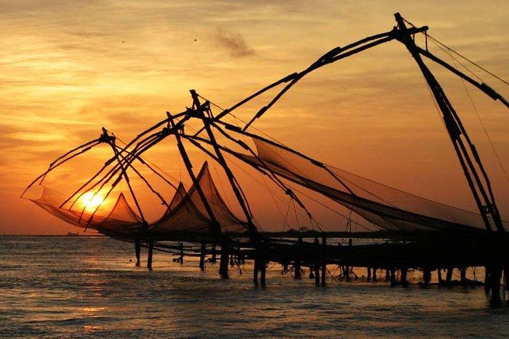 Cochin Shore Excursions from Cruise Terminal