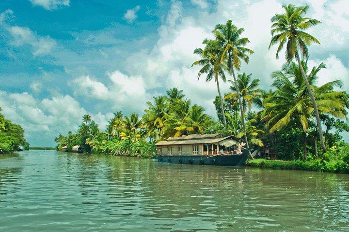 Cochin City or Backwater Shore Excursions from Cruise Terminal