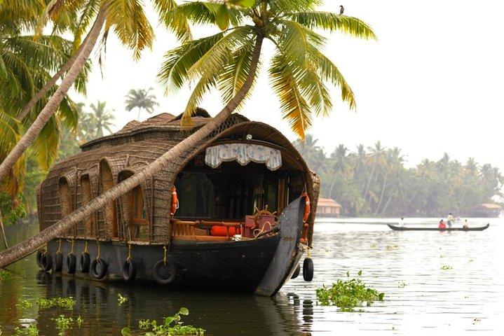 Cochin City or Backwater Shore Excursions from Cruise Terminal