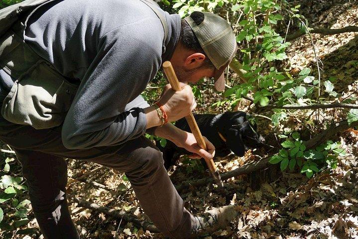 Private Truffle Hunting in Chianti