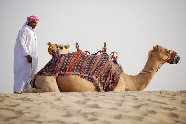 The Bedouin Desert Safari Experience