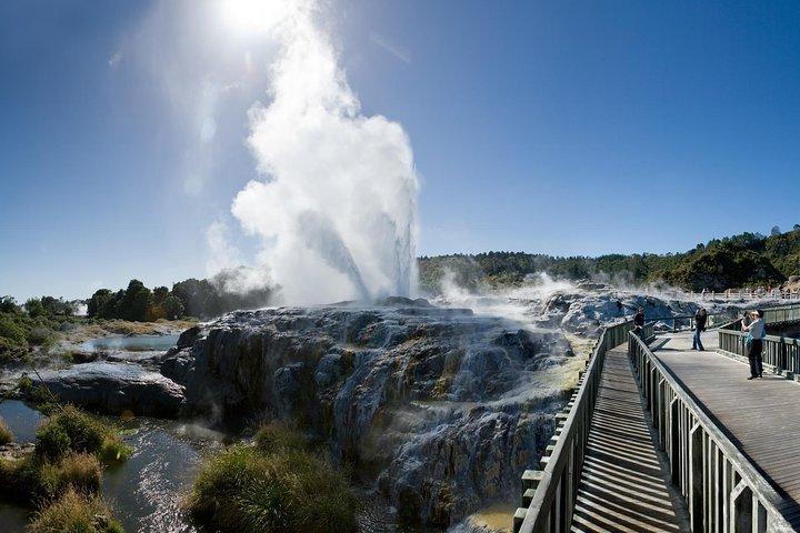 Private Tour: Rotorua and Waitomo Caves Day Trip from Auckland