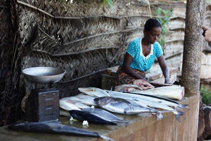 Shore Excursions Colombo Port Passenger Jetty to Negombo By Car