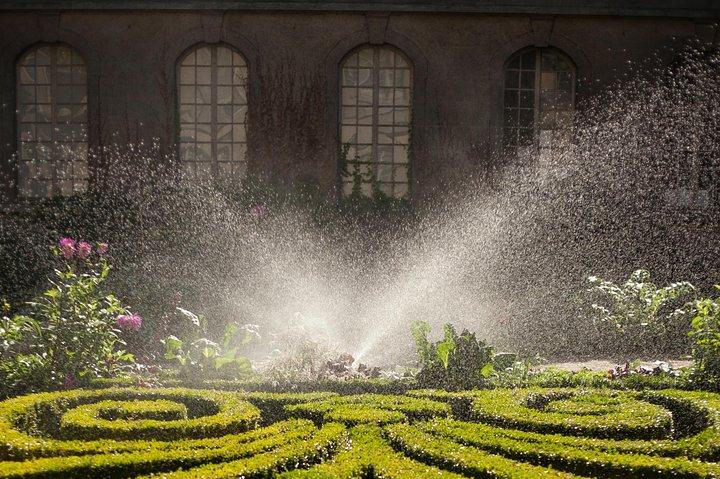 Marais semi private walking tour
