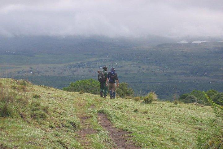 Day Trip Game Drive- Arusha National Park from Arusha Town