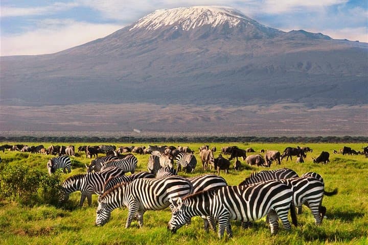 3 Day Tour to Amboseli Tsavo West & East to Mombasa/Diani/Nairobi