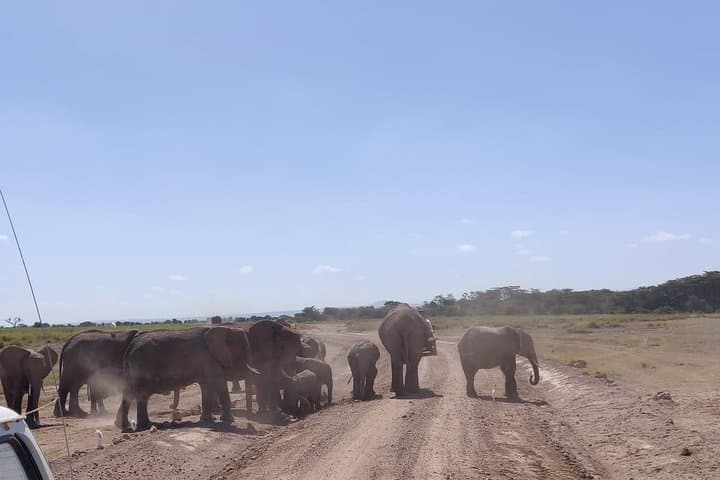 Overnight Safari to Amboseli National Park