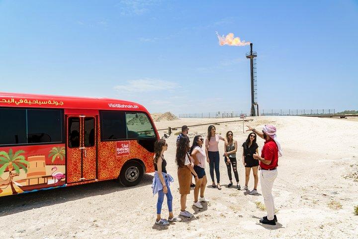 Full-Day Bahrain Guided Tour