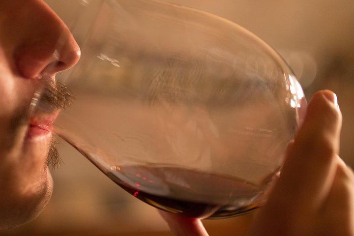 Piedmont Winery Tour: Taste Barolo, Barbaresco & Traditional Food