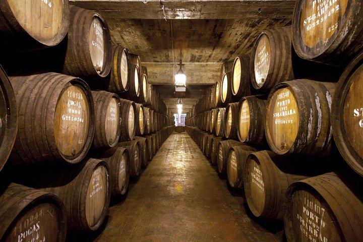 Porto Private Personalized Full Day Journey from Lisbon