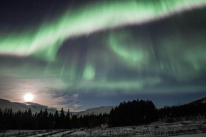 Northern Lights Classic MiniBus Tour from Akureyri