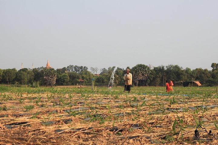 Silk Island & countryside of Phnom Penh by Tuk Tuk