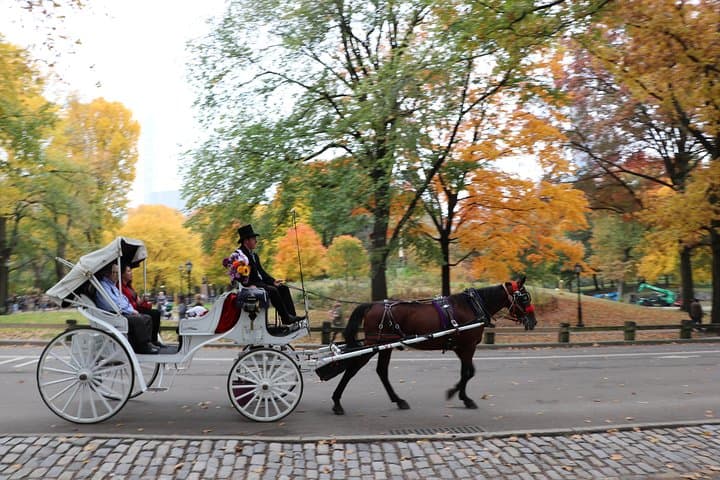 Romantic Proposal Carriage Tour in Central Park