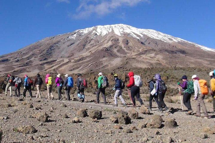 Marangu Route 6 Days 5 Nights/Kilimanjaro Climb