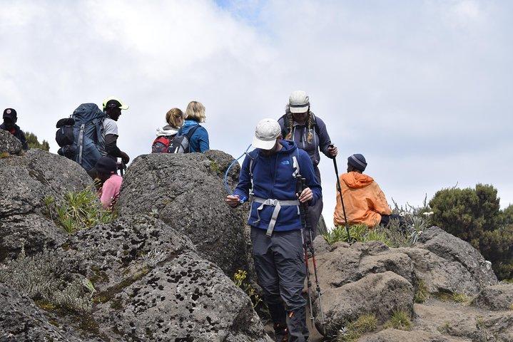 Marangu Route 6 Days 5 Nights/Kilimanjaro Climb