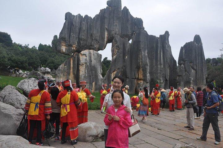 1-Day Stone Forest Geological Park Private Tour with the Lunch from Kunming