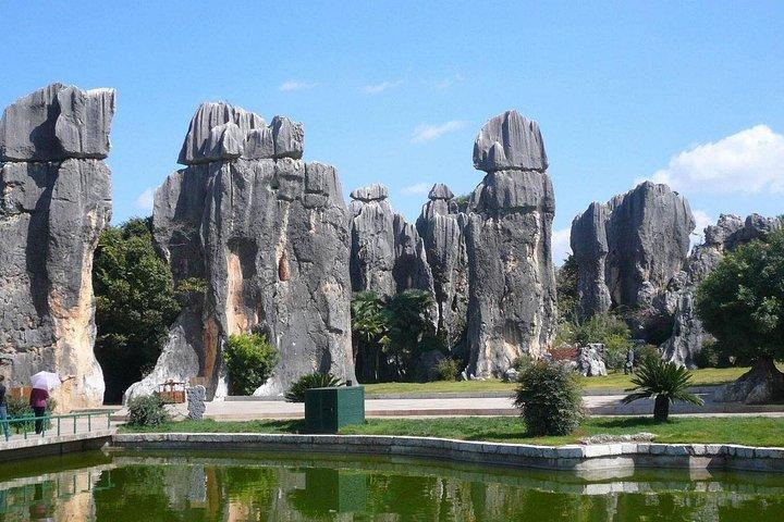 1-Day Stone Forest Geological Park Private Tour with the Lunch from Kunming