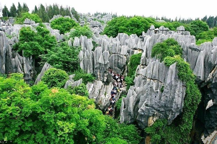 1-Day Stone Forest Geological Park Private Tour with the Lunch from Kunming