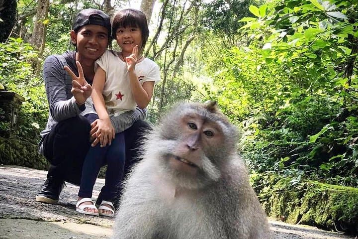 Best Of Ubud Tours