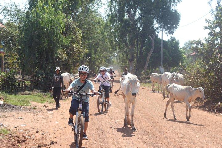 Oudong Mountain And Floating Village Cycle Tour