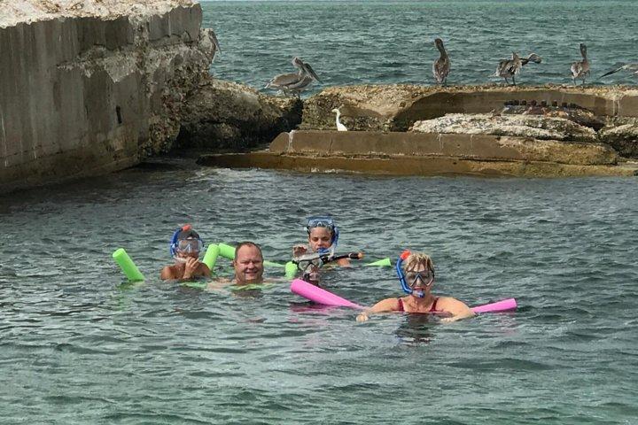 Small Group 2 Hour Dolphin Cruise with Snorkeling to Shell Key