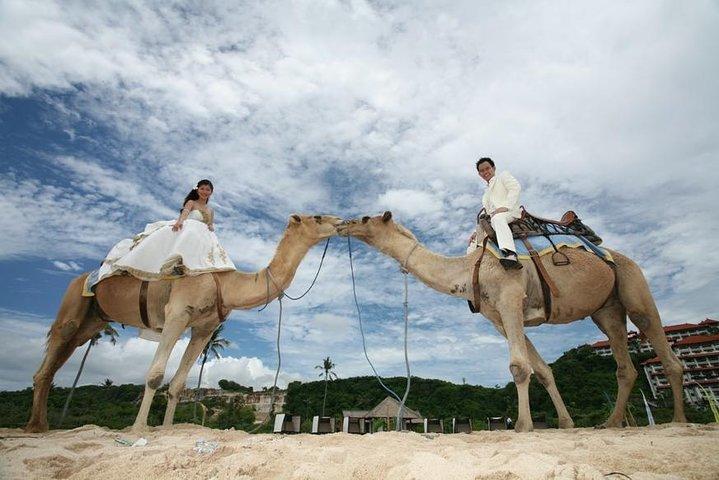 Camel Safari One Hour In White Sand Beach And Uluwatu Temple