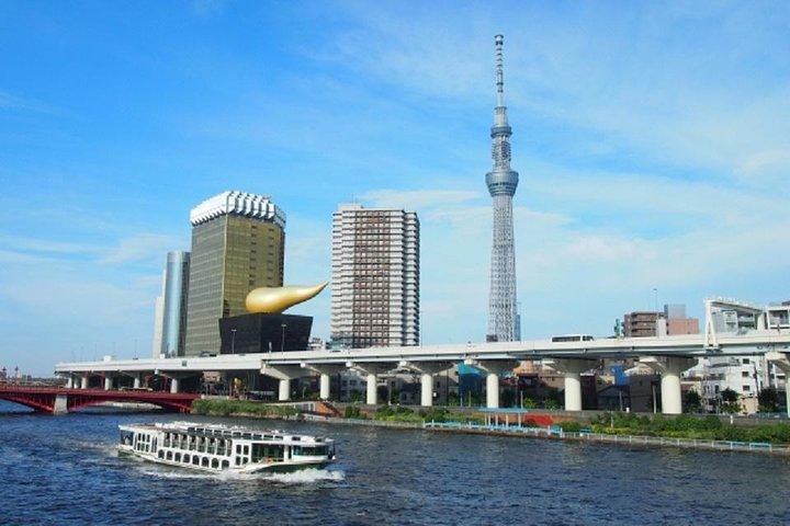 Free Choice of Itineraries Tokyo Private Tour