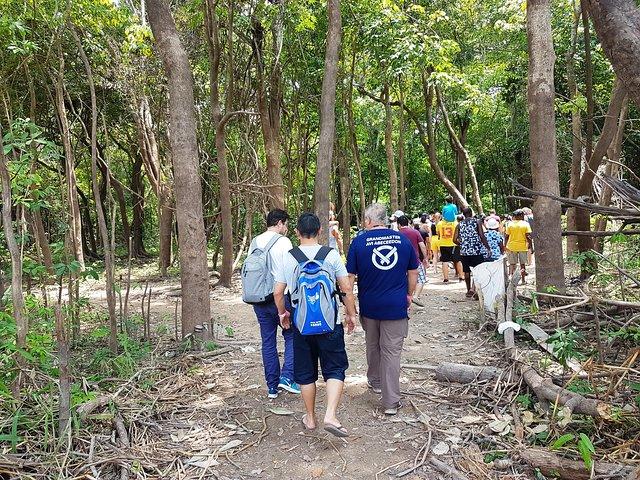 Amazon Negro River Half-Day Expedition Tour
