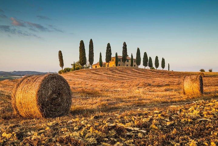 Montepulciano, Montalcino, Pienza from Florence