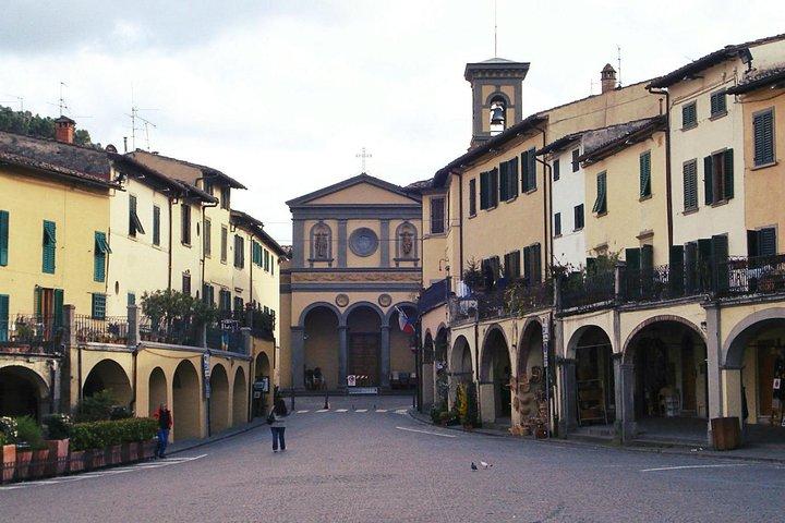 Private Chianti wine tour leaving from Florence