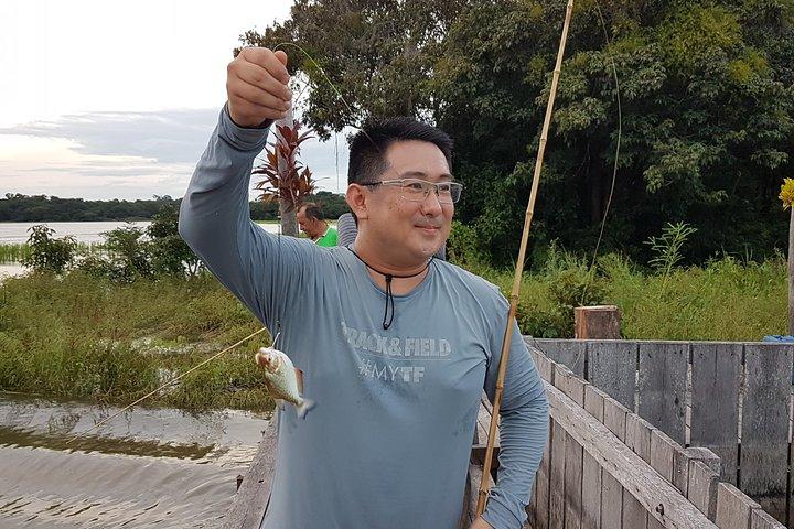 Solimoes River Piranha Fishing and Alligator Watching Tour