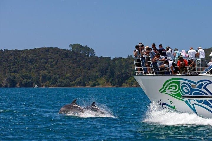 Private Tour: Bay of Islands Day Trip from Auckland
