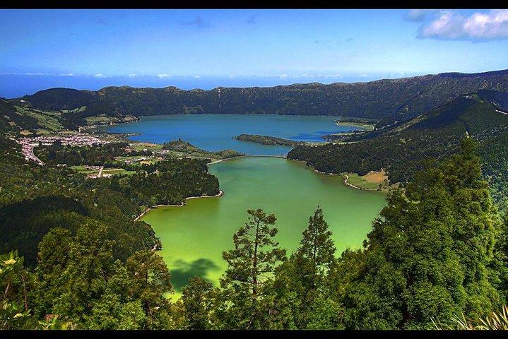 Private Tour: Rotorua and Waitomo Caves Day Trip from Auckland